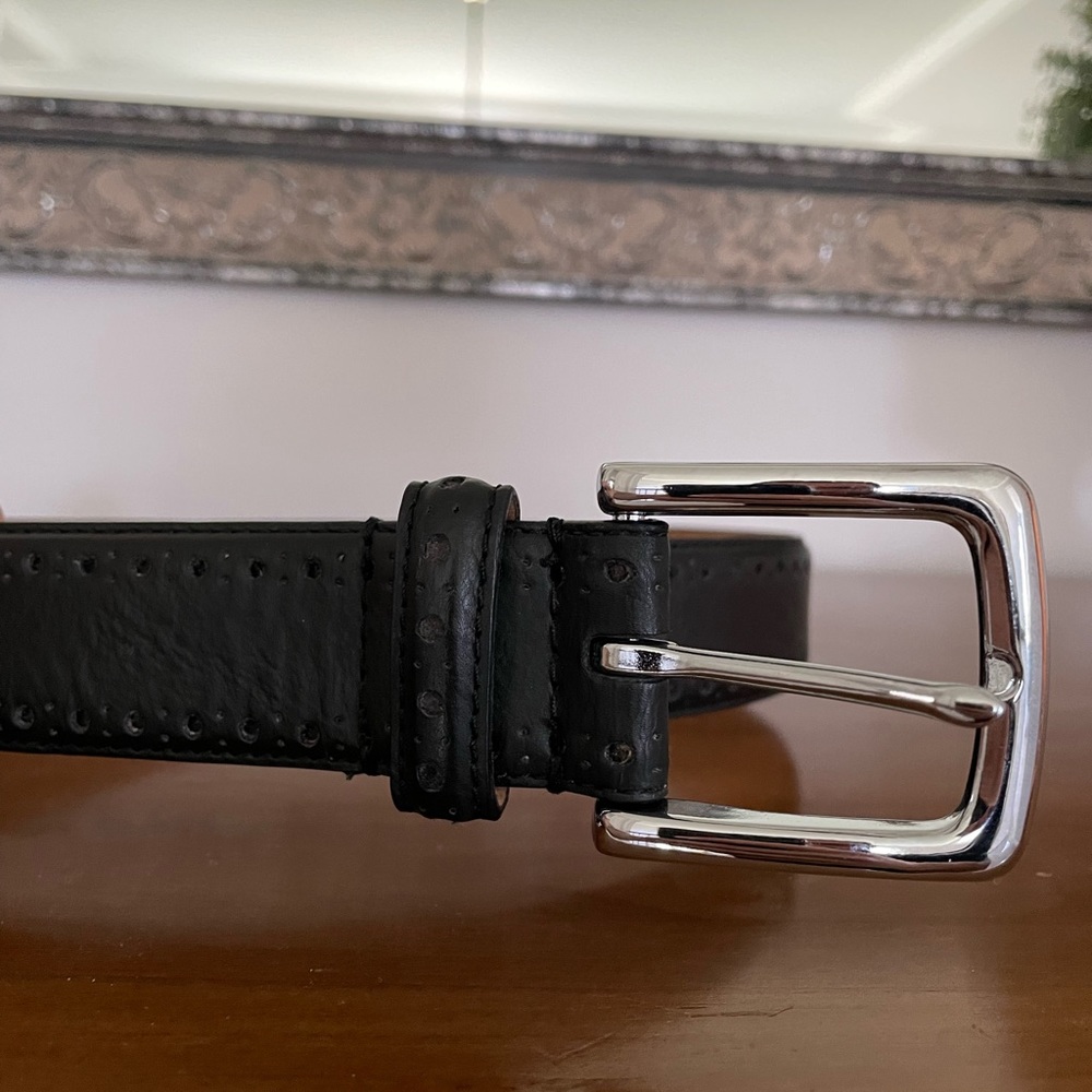 Cole Hahn belt